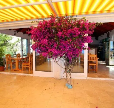 Guest house Tamaris